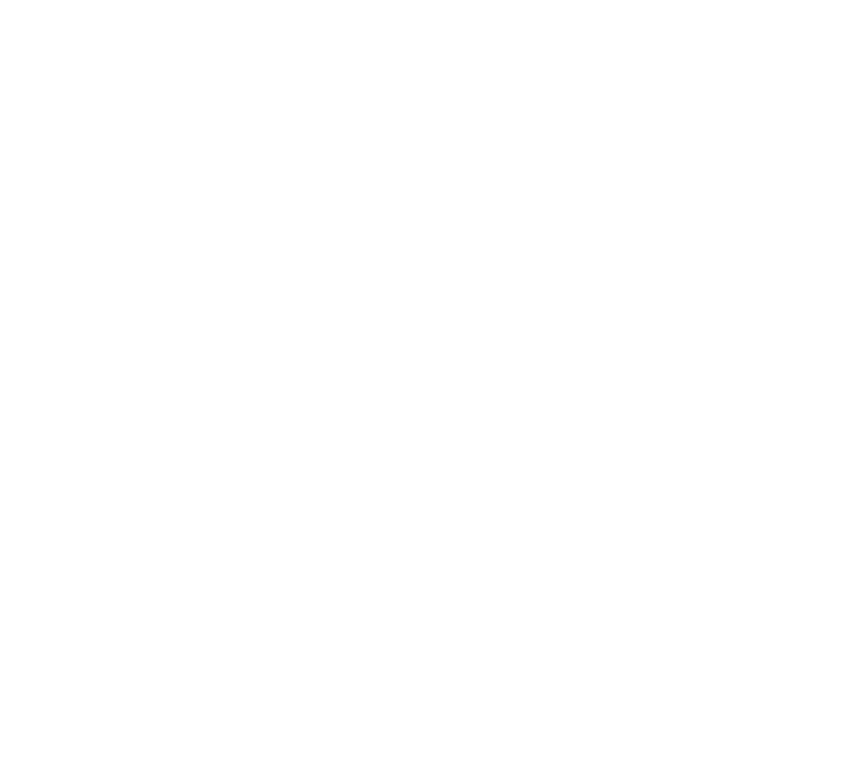 Arge SCHIFFSPOST Emblem